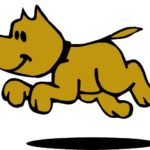 Dog-Life Hondenschool Valthermond